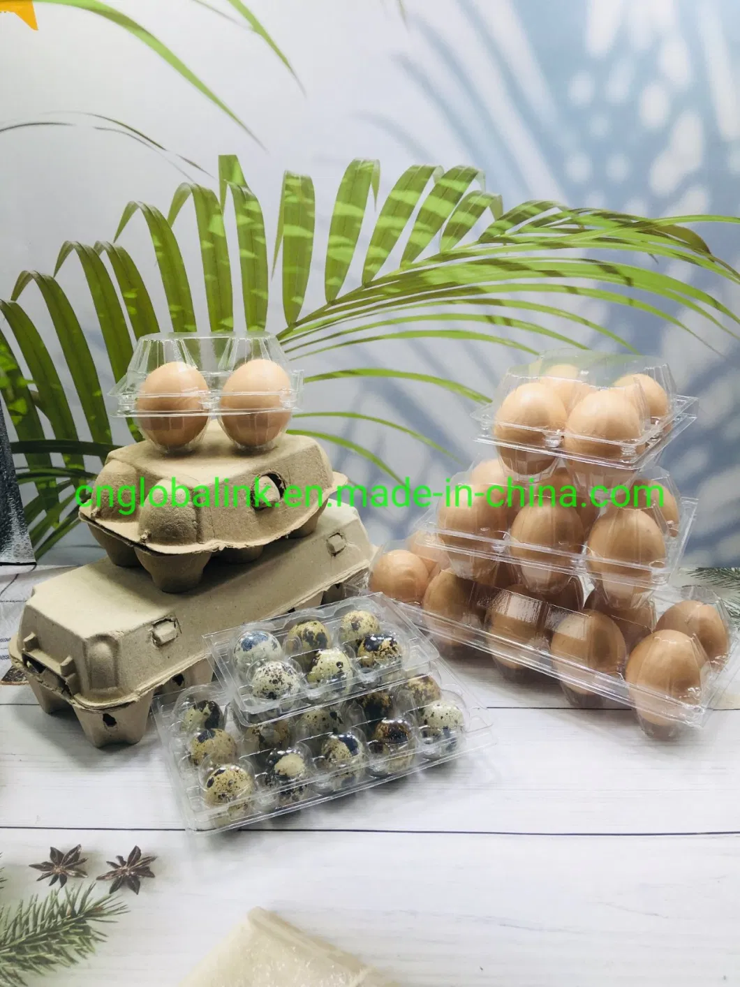 Plastic Chicken Egg Box Quail Egg Packing Tray 12/15/30 Cells Plastic Packaging