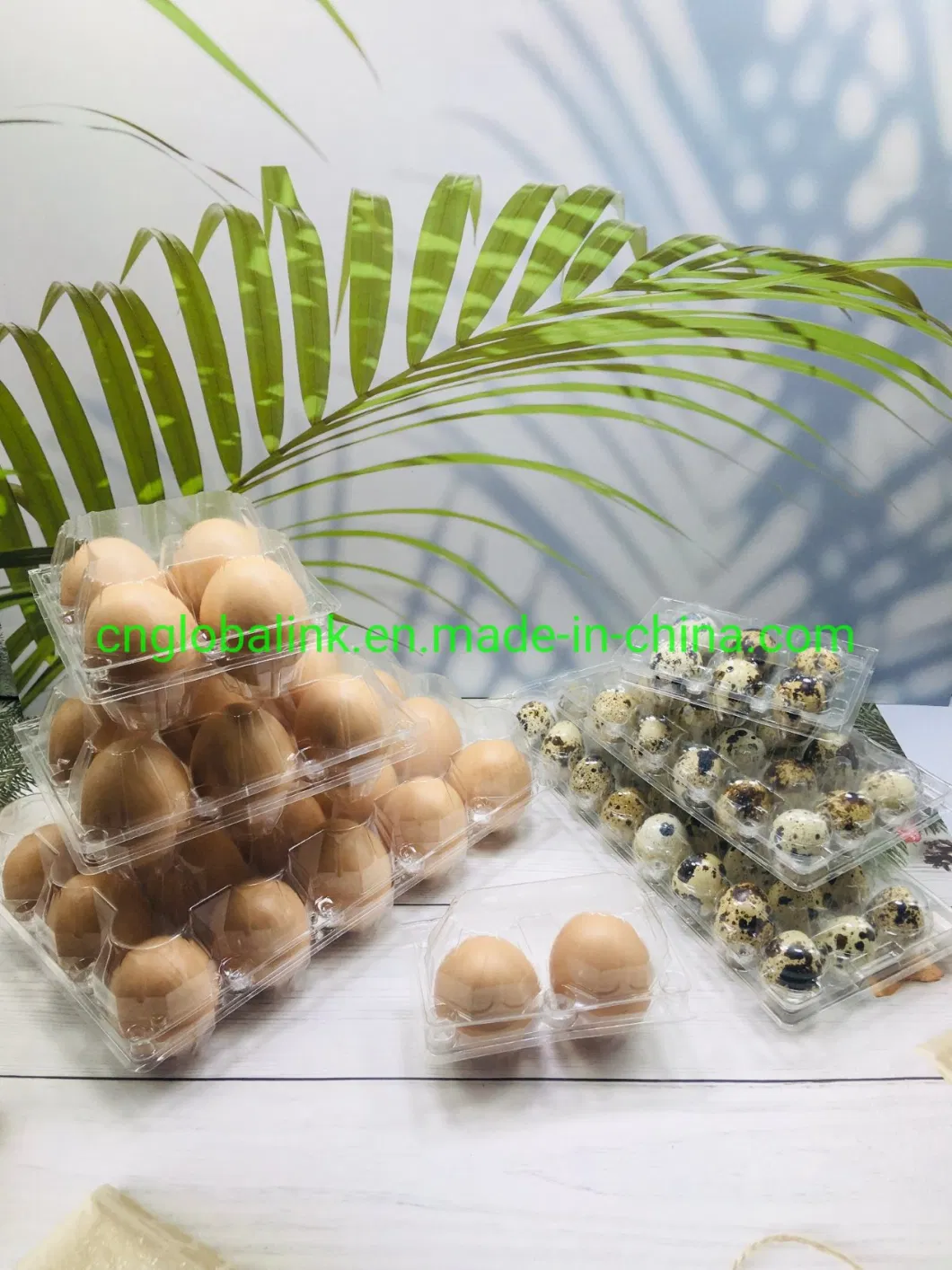 Plastic Chicken Egg Box Quail Egg Packing Tray 12/15/30 Cells Plastic Packaging